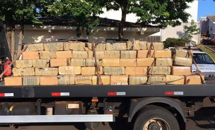 Com denúncias registradas no 181, forças de segurança apreendem mais de 3 toneladas de maconha em janeiro