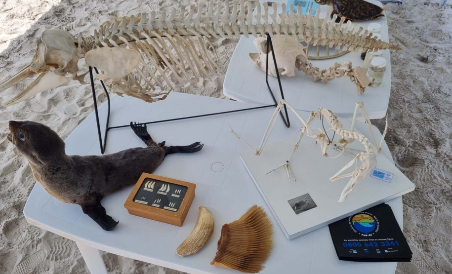 Estado promove atividades educativas dentro do Ecoespaço Trilha Ambiental, em Guaratuba