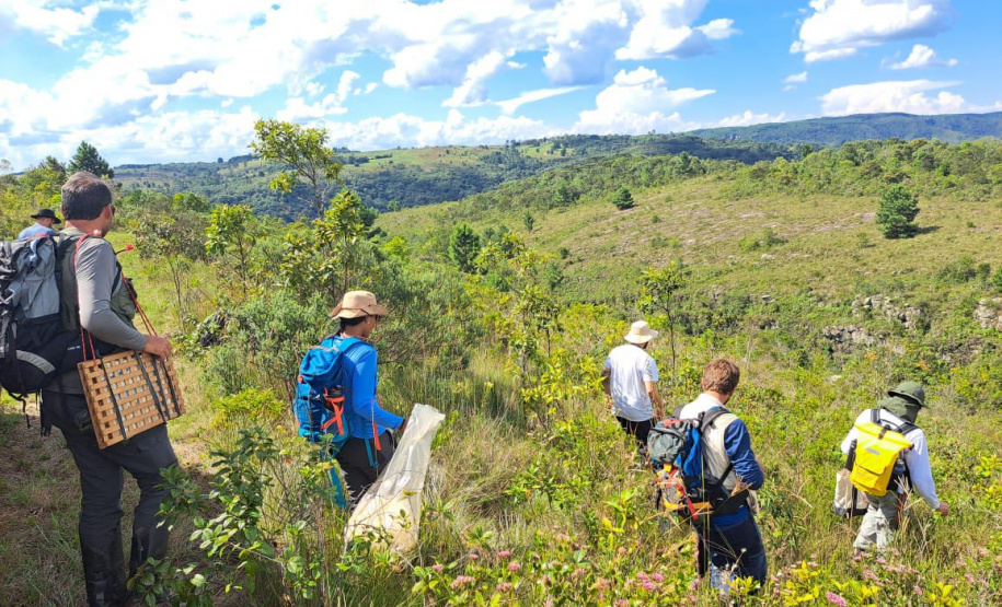 Trabalho de campo em expedição Pró-Espécies na RPPN Caminho das Tropas