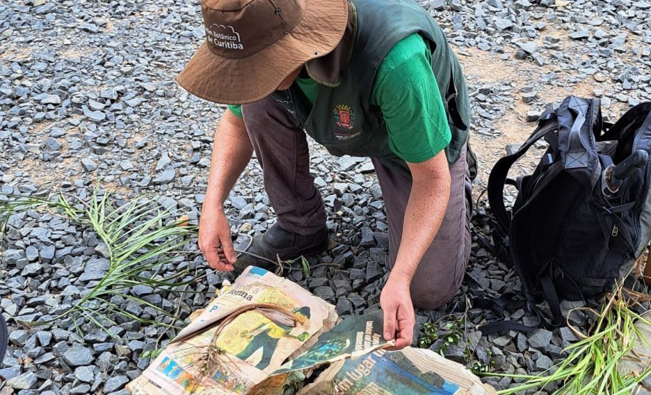 Trabalho de campo em expedição Pró-Espécies na RPPN Caminho das Tropas