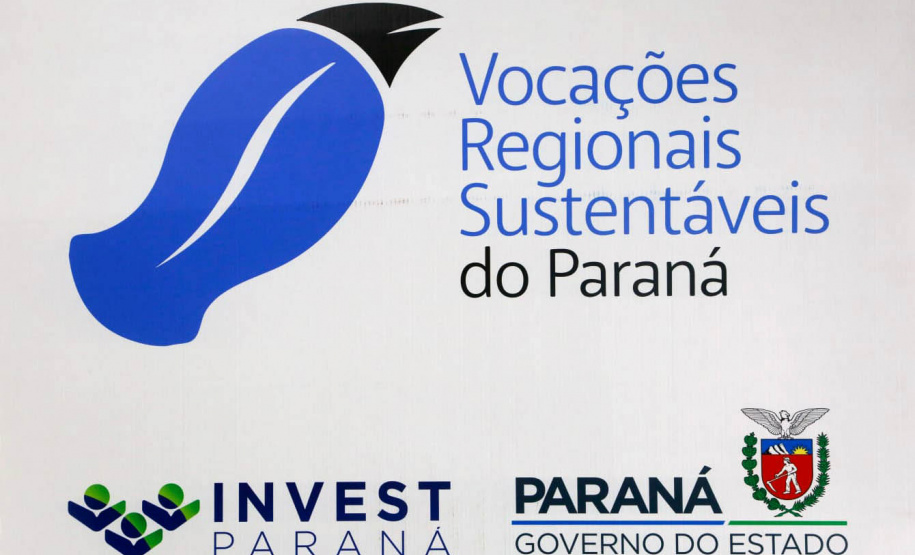 Estado quer fortalecer renda de artesãos com o programa Vocações Regionais Sustentáveis