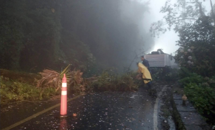 Quedas de árvores bloqueiam o tráfego na Estrada da Graciosa
