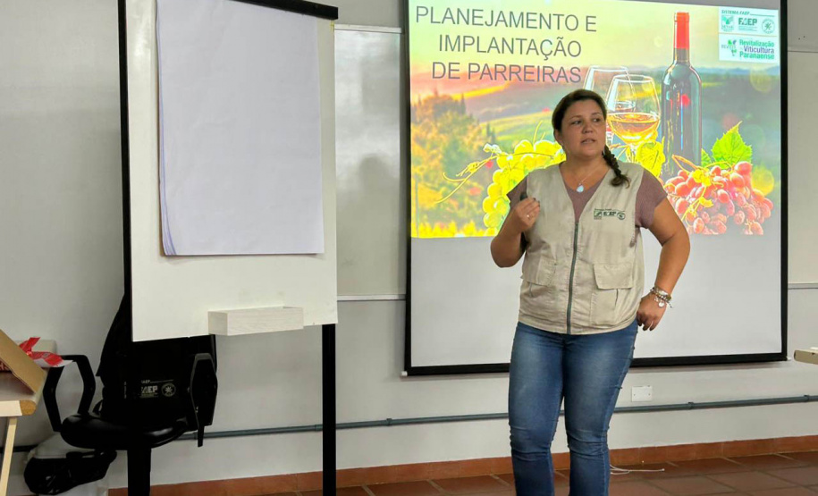Programa de revitalização da viticultura promove capacitação 60 técnicos
