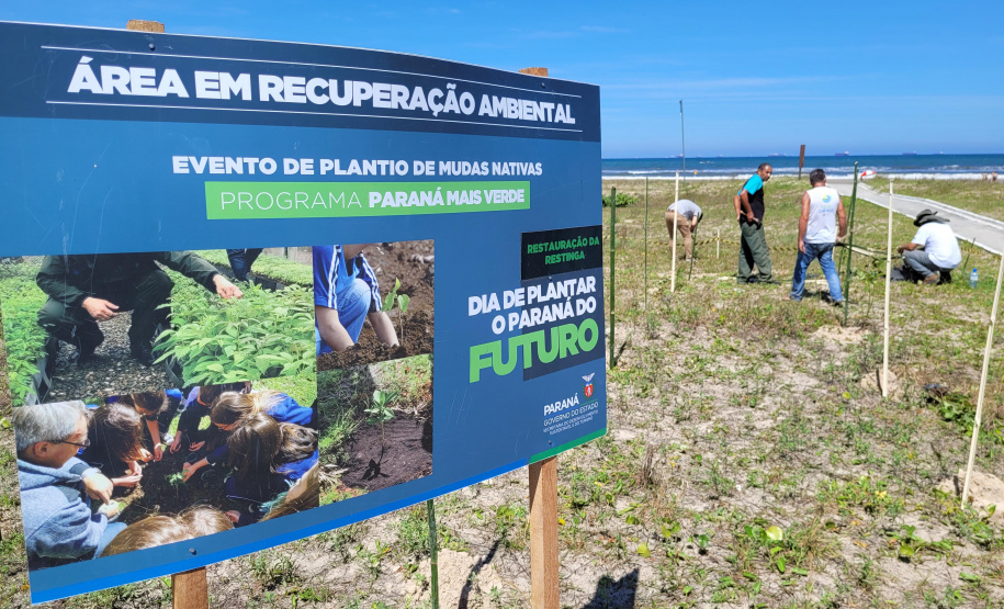 Projeto do IAT em parceria com a prefeitura de Pontal do Paraná recuperou uma área de 350 metros quadrados de restinga