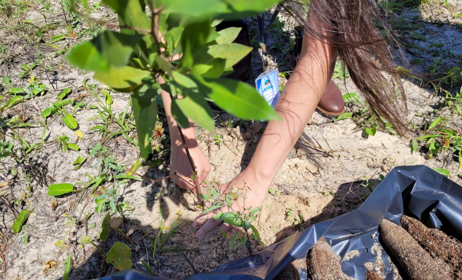 Projeto do IAT em parceria com a prefeitura de Pontal do Paraná recuperou uma área de 350 metros quadrados de restinga