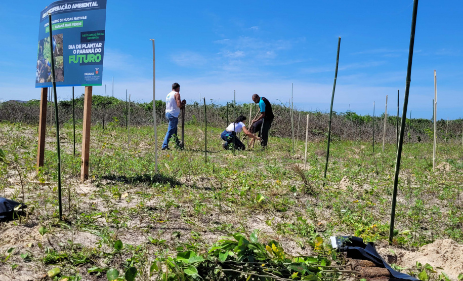 Projeto do IAT em parceria com a prefeitura de Pontal do Paraná recuperou uma área de 350 metros quadrados de restinga
