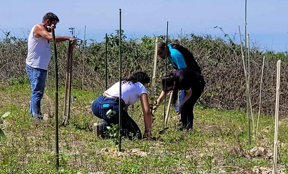 Projeto do IAT em parceria com a prefeitura de Pontal do Paraná recuperou uma área de 350 metros quadrados de restinga