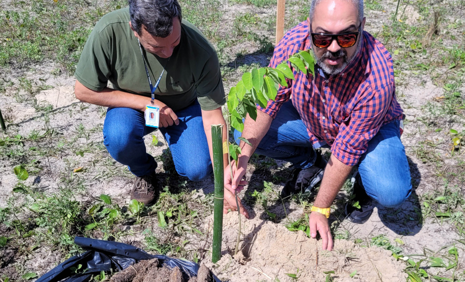 Equipe do Instituto Água e Terra que participou do plantio de restinga em Pontal do Paraná.