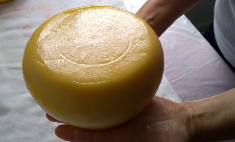 Inscrições para o Prêmio Queijos do Paraná terminam nesta sexta feira