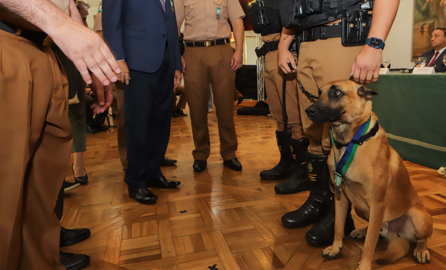 Aniversário Casa Militar