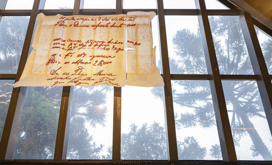 Série especial - MUPA