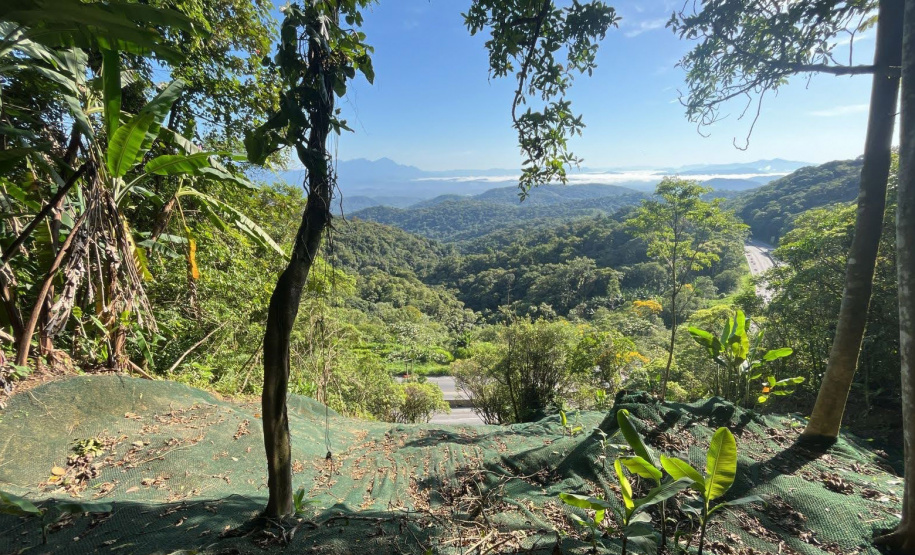 DER está concluindo recuperação da encosta da BR-277 no km 41