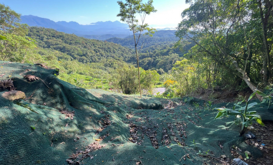 DER está concluindo recuperação da encosta da BR-277 no km 41