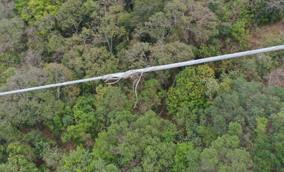 Copel adota novo padrão de inspeção aérea com filmagem para a rede de transmissão