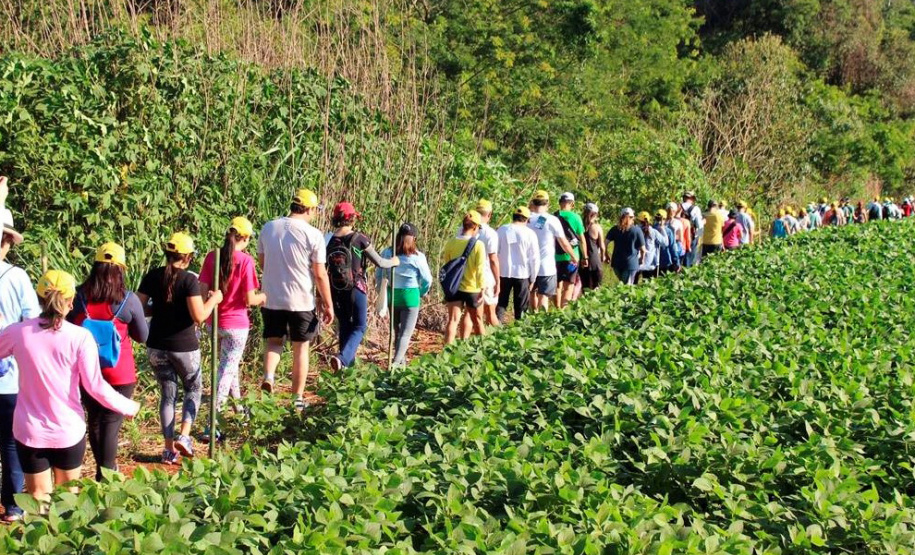 Caminhadas da Natureza