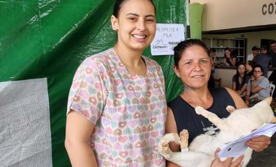 CastraPet Paraná alcança 73 mil animais esterilizados em 218 municípios