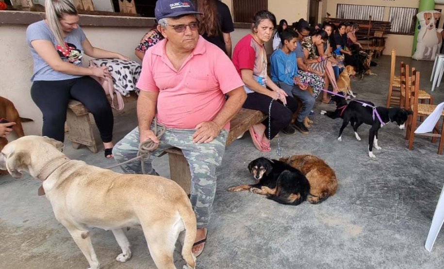 CastraPet Paraná alcança 73 mil animais esterilizados em 218 municípios