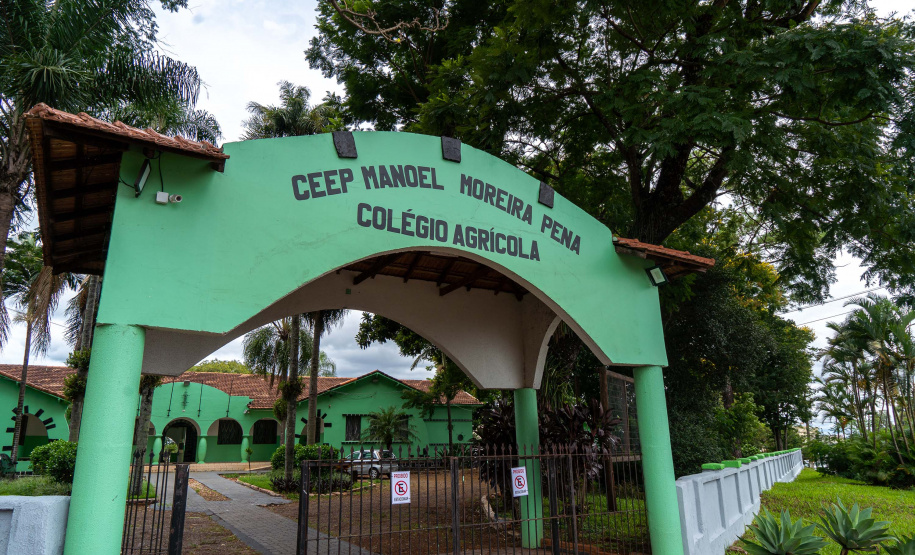 Educação aumenta alimentos orgânicos na merenda e ensina prática nas escolas