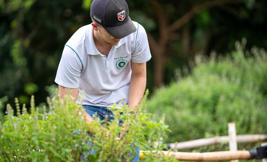 Educação aumenta alimentos orgânicos na merenda e ensina prática nas escolas