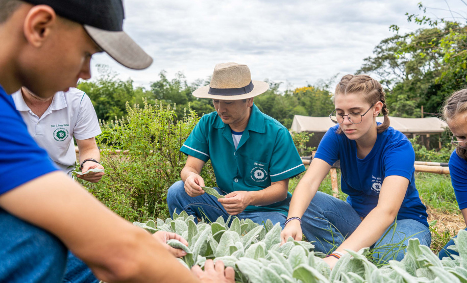 Educação aumenta alimentos orgânicos na merenda e ensina prática nas escolas