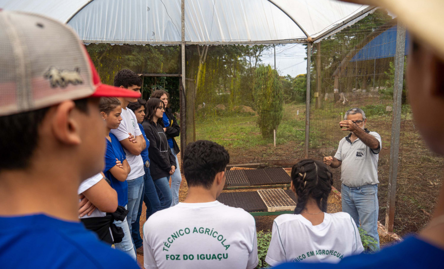 Educação aumenta alimentos orgânicos na merenda e ensina prática nas escolas