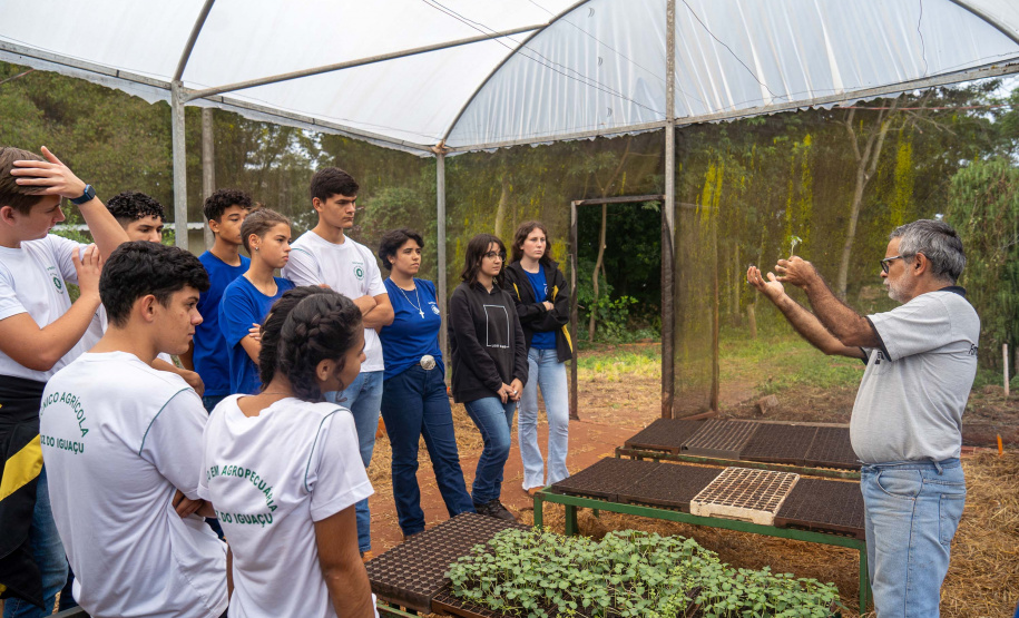 Educação aumenta alimentos orgânicos na merenda e ensina prática nas escolas