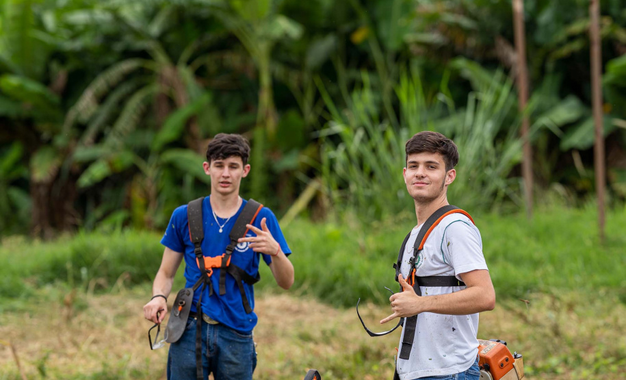 Educação aumenta alimentos orgânicos na merenda e ensina prática nas escolas