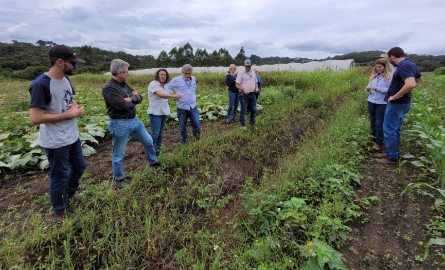 Ações do IDR-Paraná preservam recursos hídricos