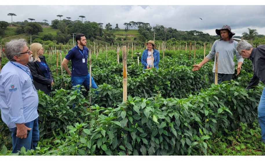 Ações do IDR-Paraná preservam recursos hídricos