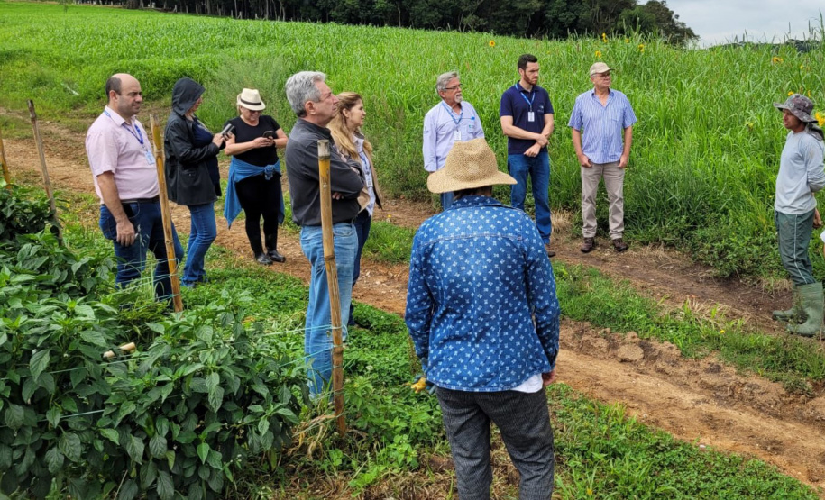 Ações do IDR-Paraná preservam recursos hídricos