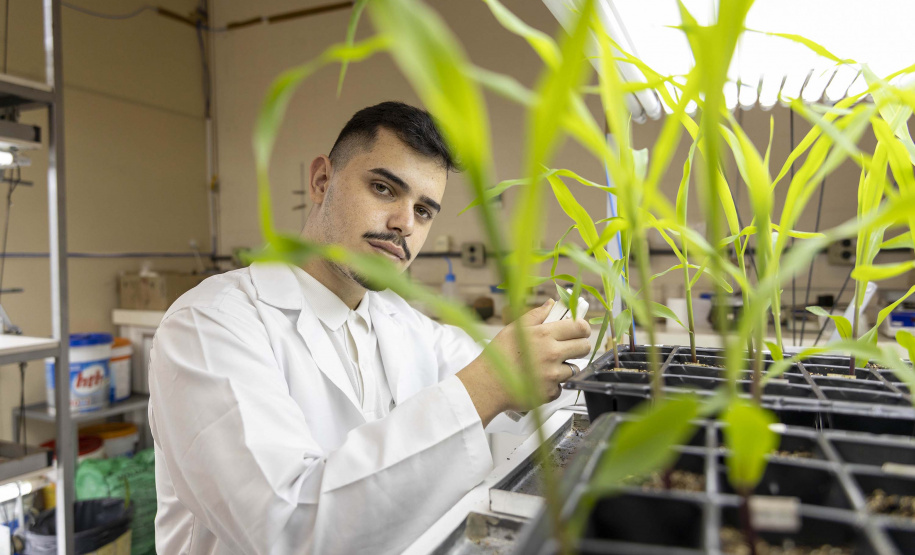 Projeto desenvolvido na UEM aumenta a produção de etanol com o bagaço da cana-de-açúcar