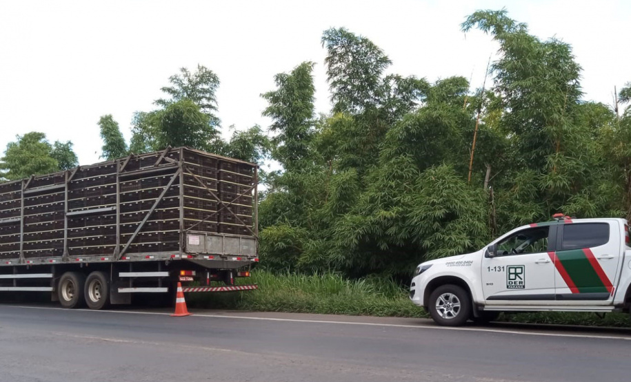 Em um ano, DER realiza 80 mil atendimentos nas rodovias do Anel de Integração
