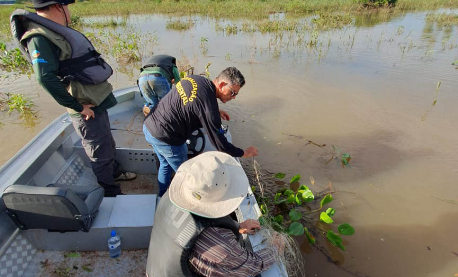 Operação do IAT no Rio Paraná busca combater a prática da pesca ilegal. Foram recolhidos materiais proibidos e aplicadas multas.