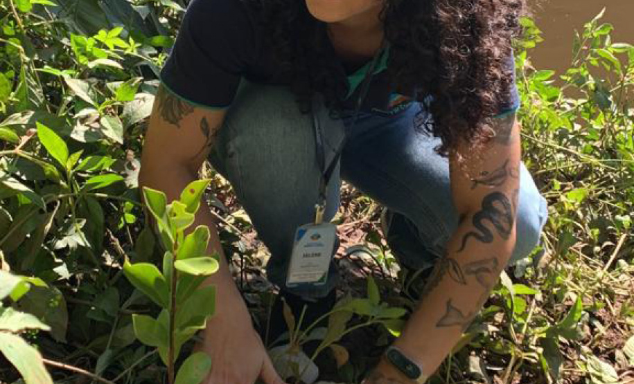 Regionais do IAT plantaram cerca de 18 mil mudas em diferentes localidades do Estado para recuperar matas ciliares