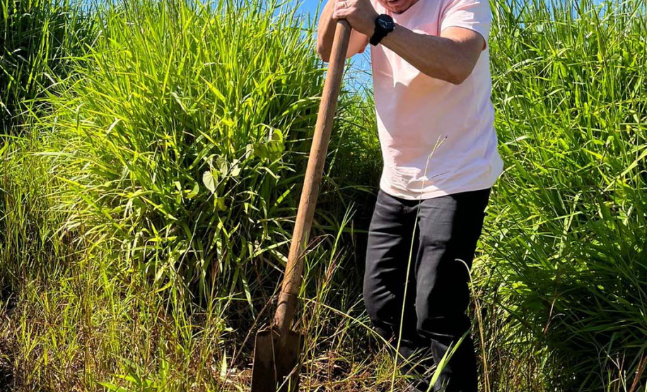 Regionais do IAT plantaram cerca de 18 mil mudas em diferentes localidades do Estado para recuperar matas ciliares