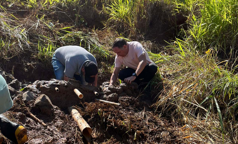 Regionais do IAT plantaram cerca de 18 mil mudas em diferentes localidades do Estado para recuperar matas ciliares