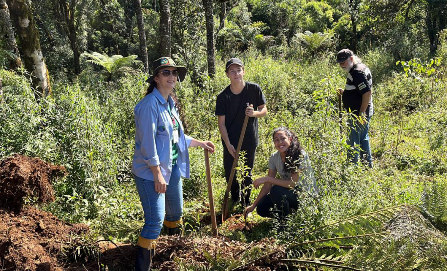 Regionais do IAT plantaram cerca de 18 mil mudas em diferentes localidades do Estado para recuperar matas ciliares