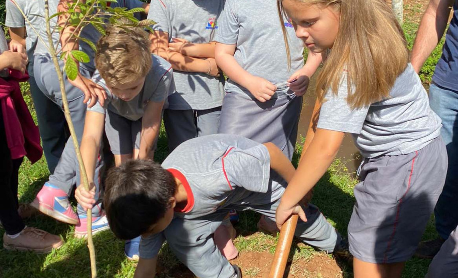 Regionais do IAT plantaram cerca de 18 mil mudas em diferentes localidades do Estado para recuperar matas ciliares