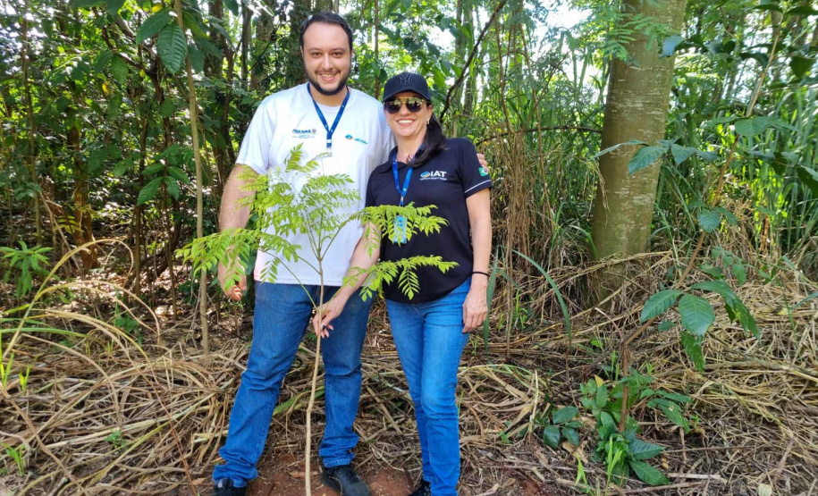 Regionais do IAT plantaram cerca de 18 mil mudas em diferentes localidades do Estado para recuperar matas ciliares