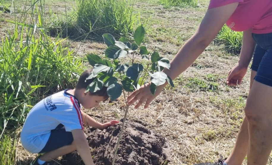 Regionais do IAT plantaram cerca de 18 mil mudas em diferentes localidades do Estado para recuperar matas ciliares