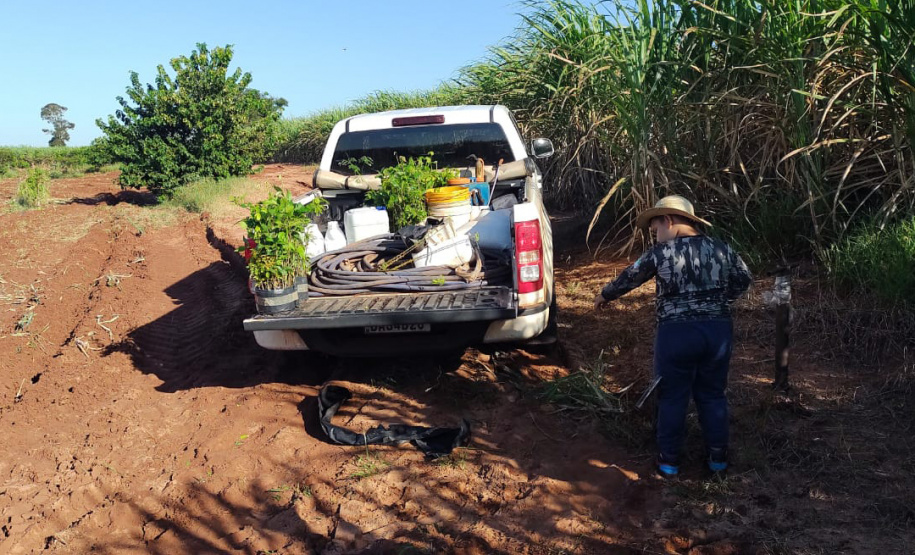 Regionais do IAT plantaram cerca de 18 mil mudas em diferentes localidades do Estado para recuperar matas ciliares