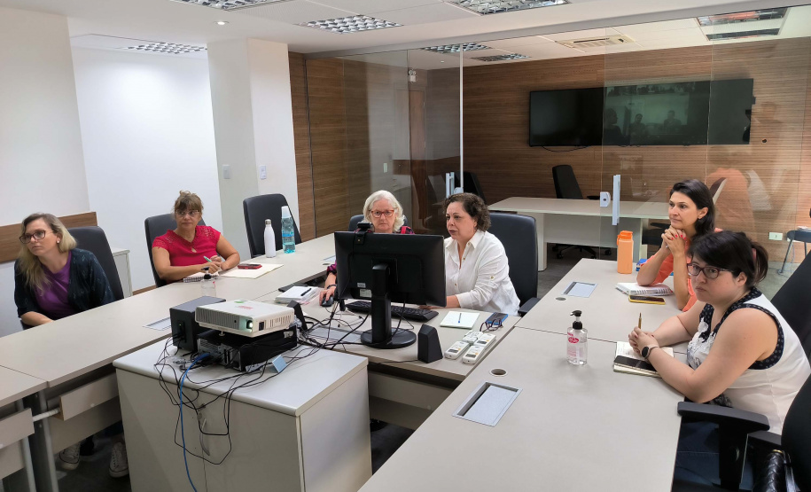 Sesa apresenta ações de controle e combate a arboviroses em reunião com Ministério da Saúde