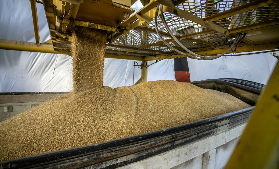 Porto de Paranaguá celebra 88 anos com foco no futuro