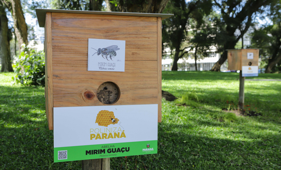 Abelas nativas - jardins palácio