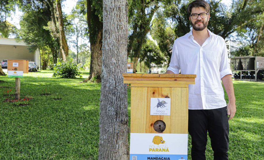 Abelas nativas - jardins palácio