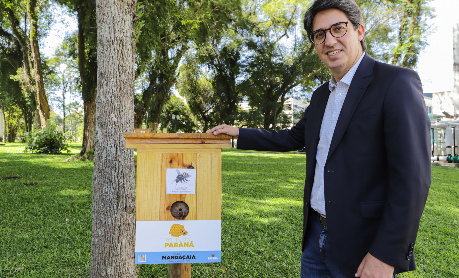 Abelas nativas - jardins palácio