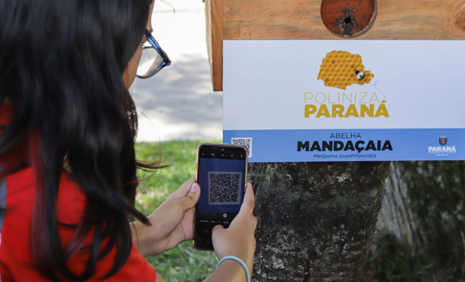 Abelas nativas - jardins palácio