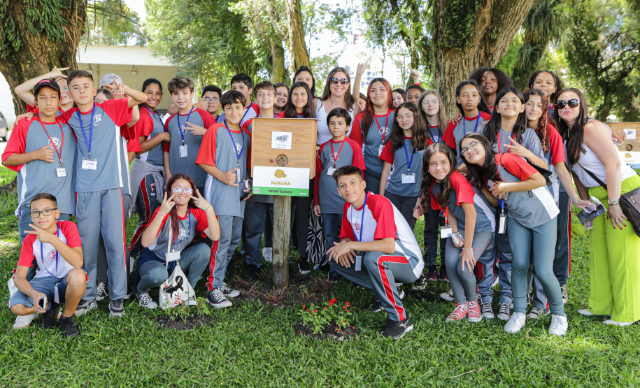Abelas nativas - jardins palácio
