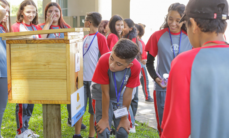 Abelas nativas - jardins palácio
