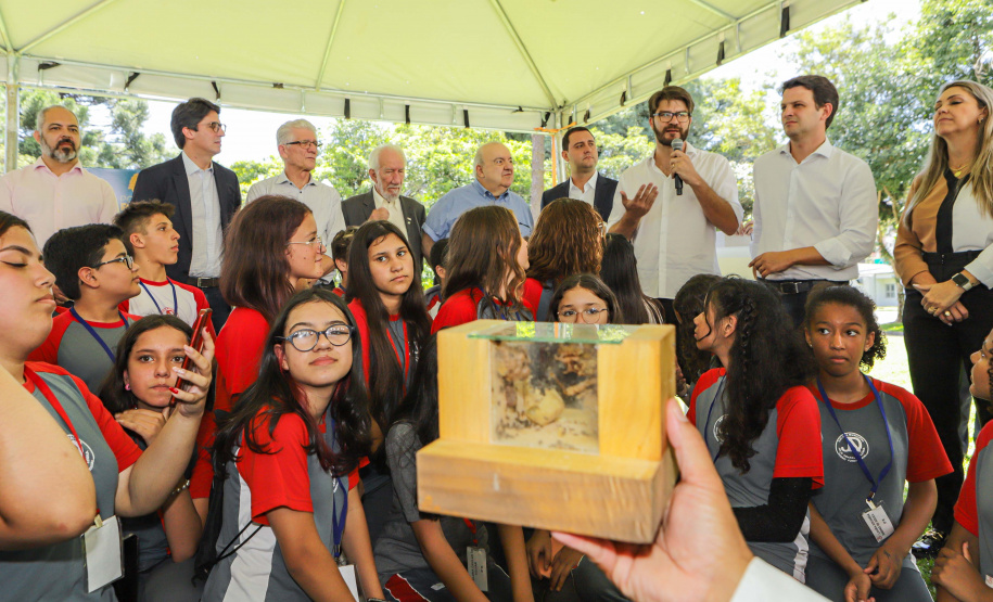 Abelas nativas - jardins palácio